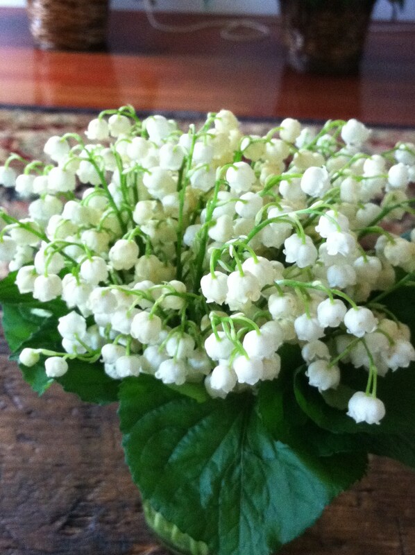 /pfpphotos/uploads/TR0129/TR0129.Gall.lily of valley (18).JPG